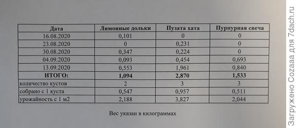 Таблица урожайности томатов
