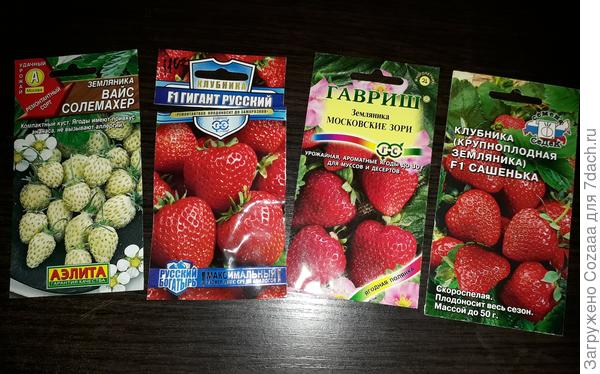 Вот, что есть в наличии. Буду сеять либо сегодня, либо завтра.