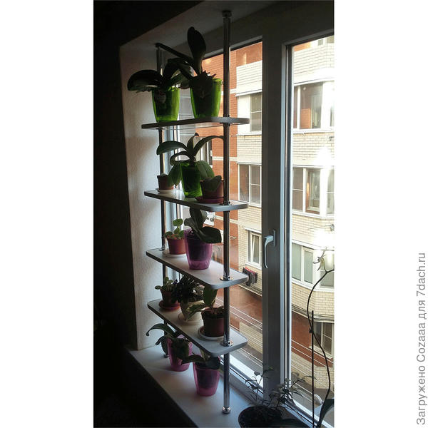 Тоже классный, думаю, может на второе окно взять