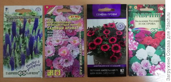 Ещё бальзамин купила, розу и веронику. Мало мне дома семян, все хапаю и хапаю. Куда сажать?