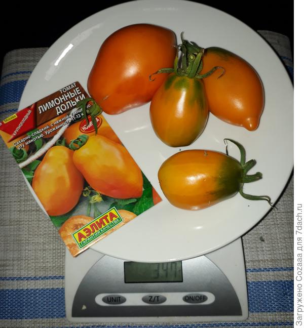 Они не мелкие, среднего размера 120-150 гр