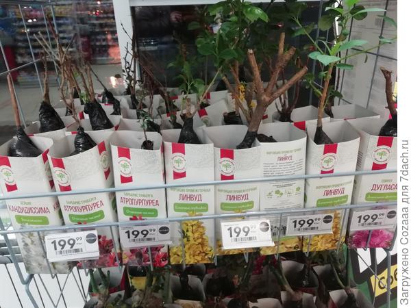 Вот такое безобразие.