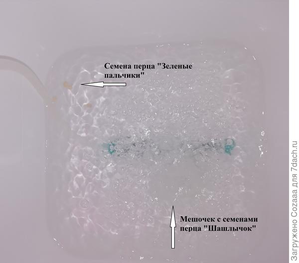 Бббб