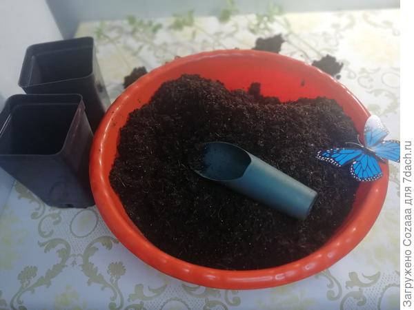 В этом году впервые буду использовать грунт «Волшебная грядка» для томатов и перцев от Башинком. Но даже готовый грунт я не использую в чистом виде.
Рецепт приготовления грунта для рассады: 4 части готового грунта, 1 часть биогумуса для полноценного питания, 2 части кокосового субстрата и пару горстей вермикулита или перлита для рыхлости.
