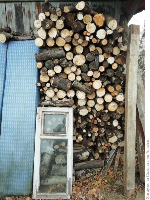 Напилила две поленницы дров.
