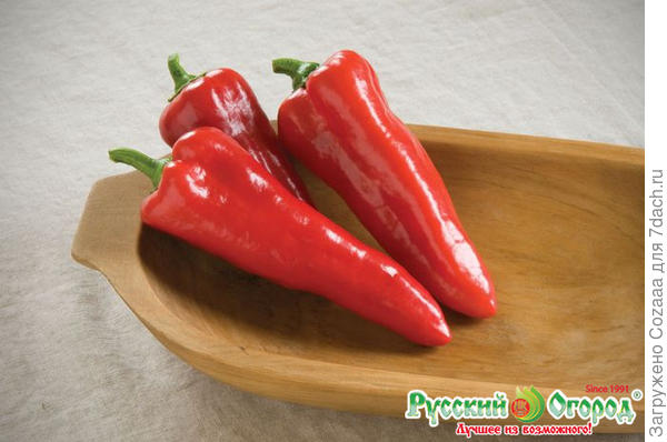 Фрай Тайп в Русском огороде