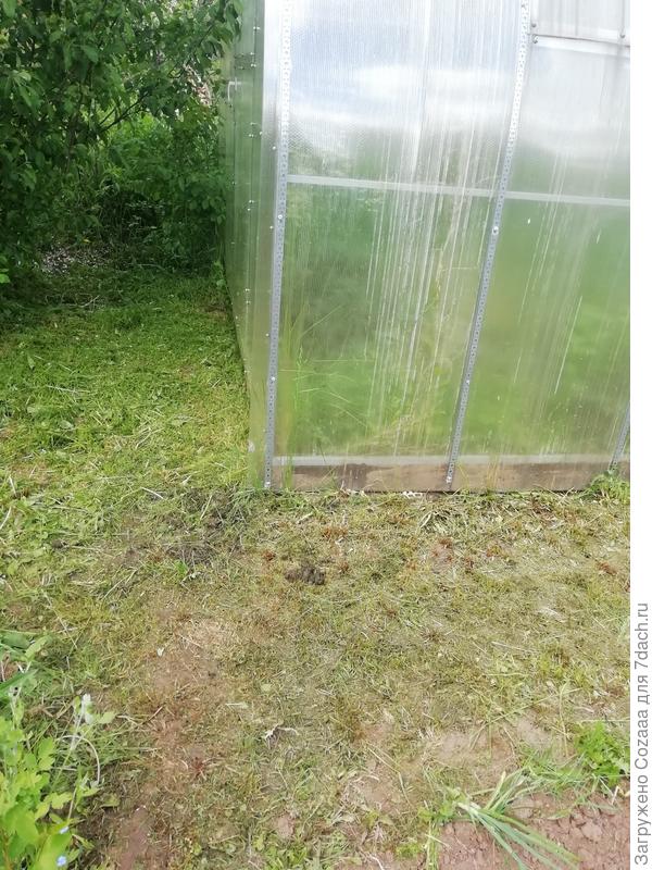 Торец теплицы - здесь тоже нужно положить плитку.