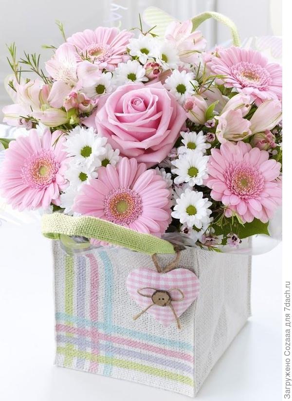 Танечка, от всей души поздравляю тебя с Днём рождения! Желаю крепкого здоровья, счастья и прекрасного настроения! Пусть рядом всегда будут любящие и верные люди, которые не устанут заряжать силами и отличным настроением! Побольше улыбок и приятных мгновений, мирного неба над головой!