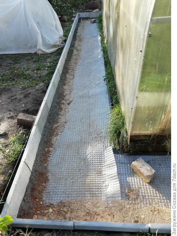 Ну, хорошая я ученица?