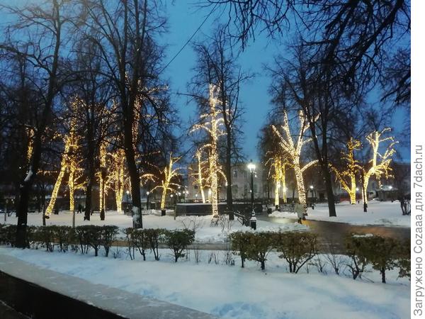 Принарядили деревья к Новому году.