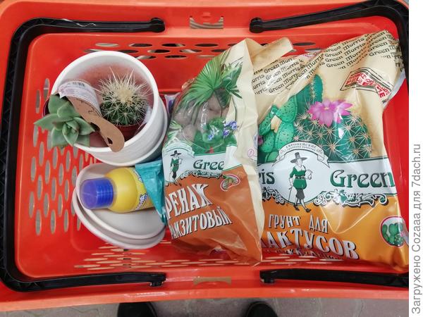 А это мой улов. Шла целенаправленно за кактусом, прихватила ещё сукулентик - понравился. К ним пару керамических горшков, удобрение для кактусов, грунт для кактусов и дренаж.