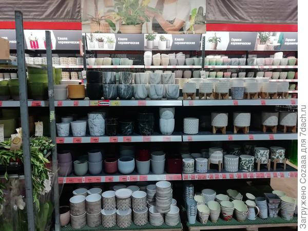 Горшки - выбор есть, но раньше было побогаче.