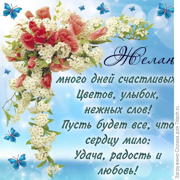 Людмила, поздравляю Вас с Днём рождения! Желаю счастья, здоровья, успехов во всём и везде! Желаю не болеть, не грустить, радоваться и наслаждаться жизнью. Всех благ!