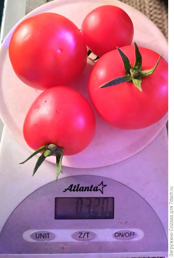 Взвешиваем