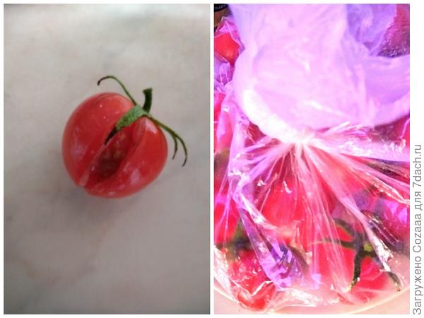 Вкусника