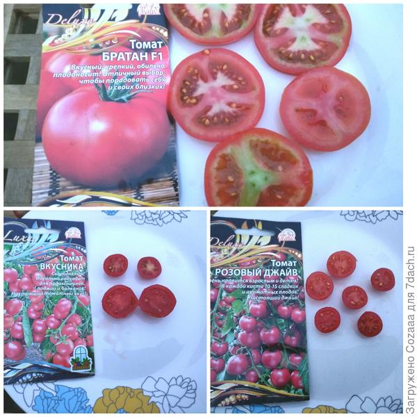 Триаты на разрез