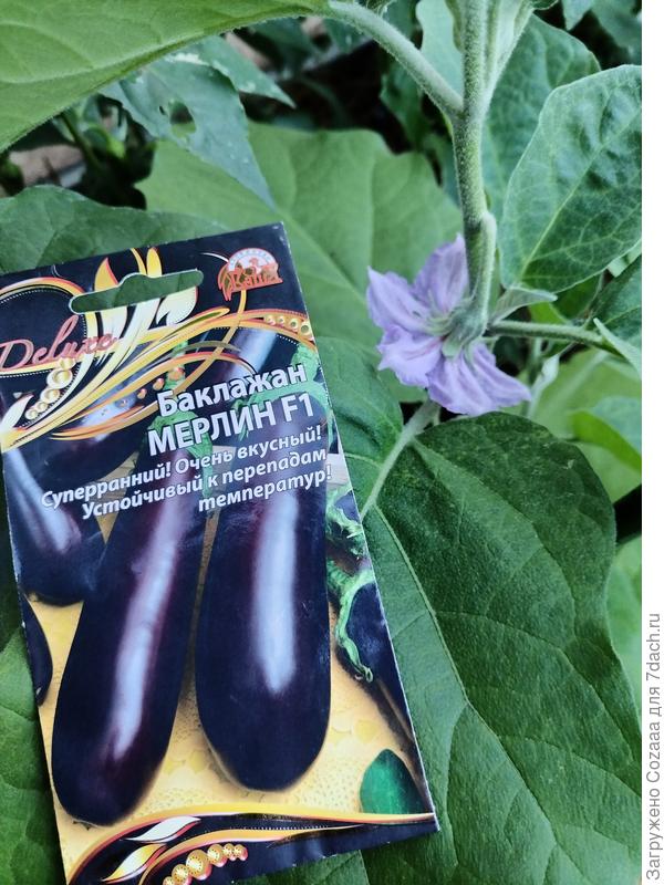 Бссвплимил