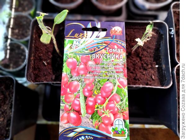 Я была в отчаянии!