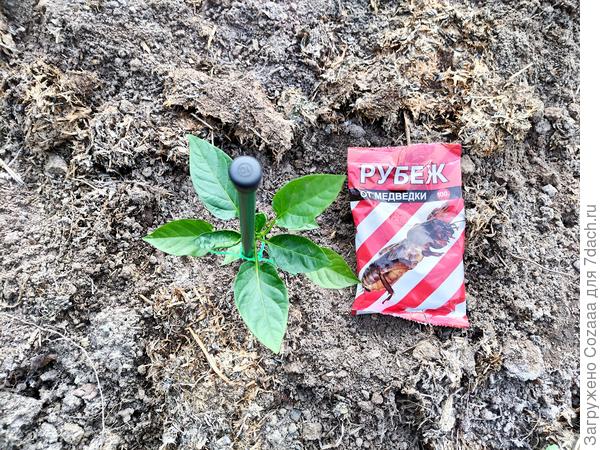 Борьба продолжается