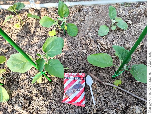 Нехитрые приспособления, которые я использовала.