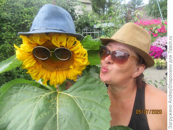 Фотосессия с подсолнухом