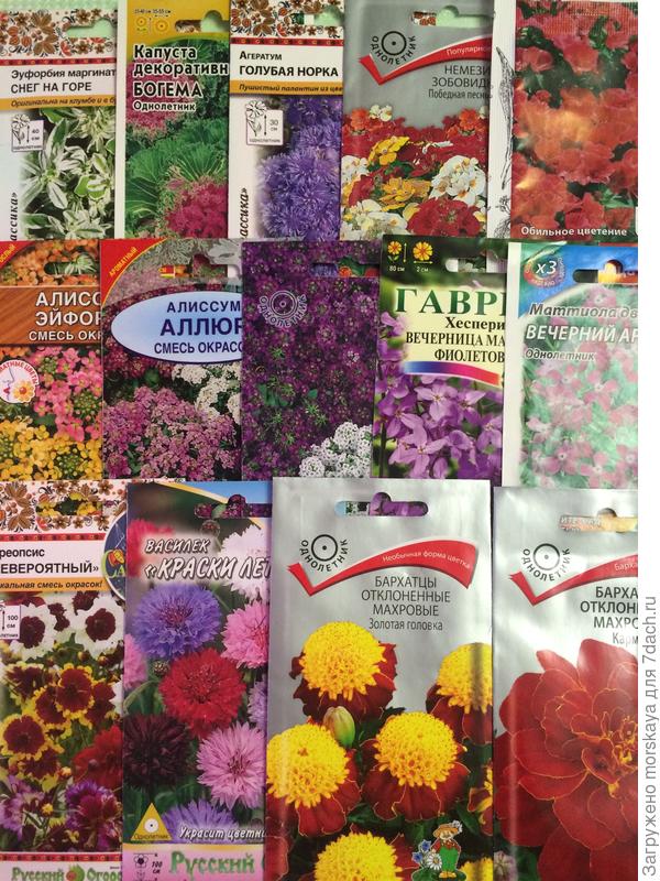 планируемые однолетники на 2018 год