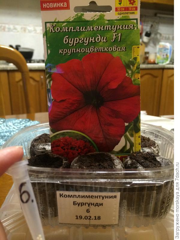 подготовка