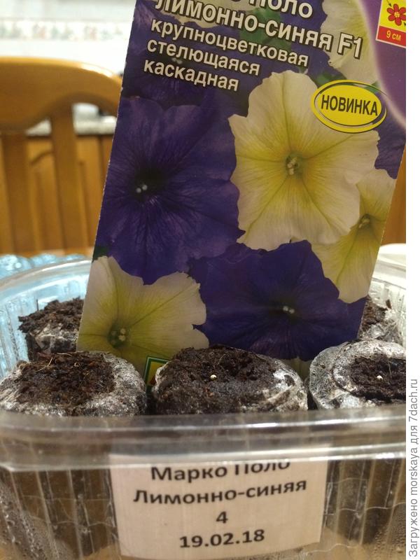 посев