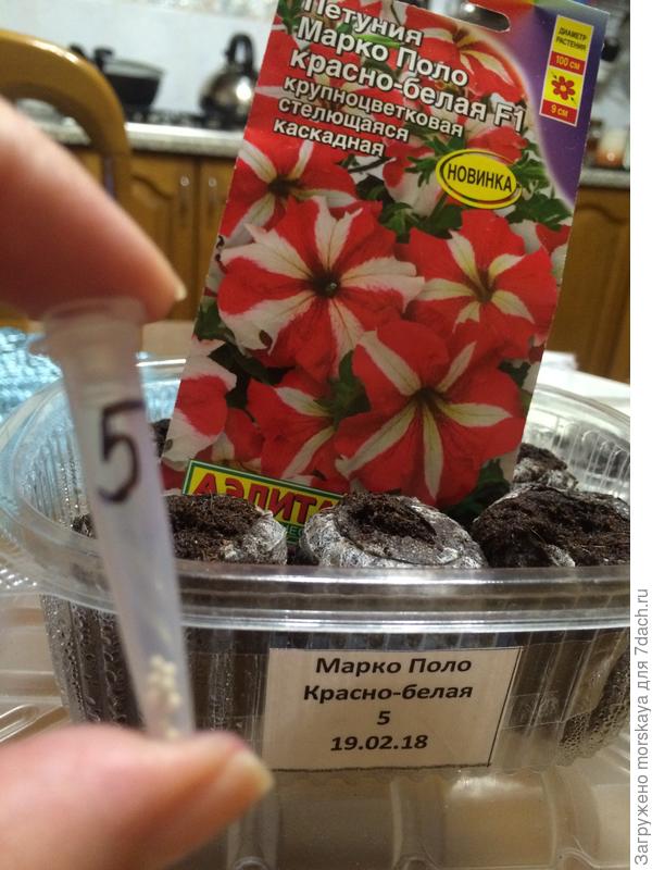 подготовка