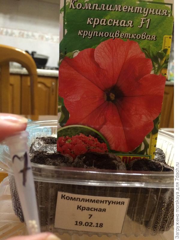 подготовка