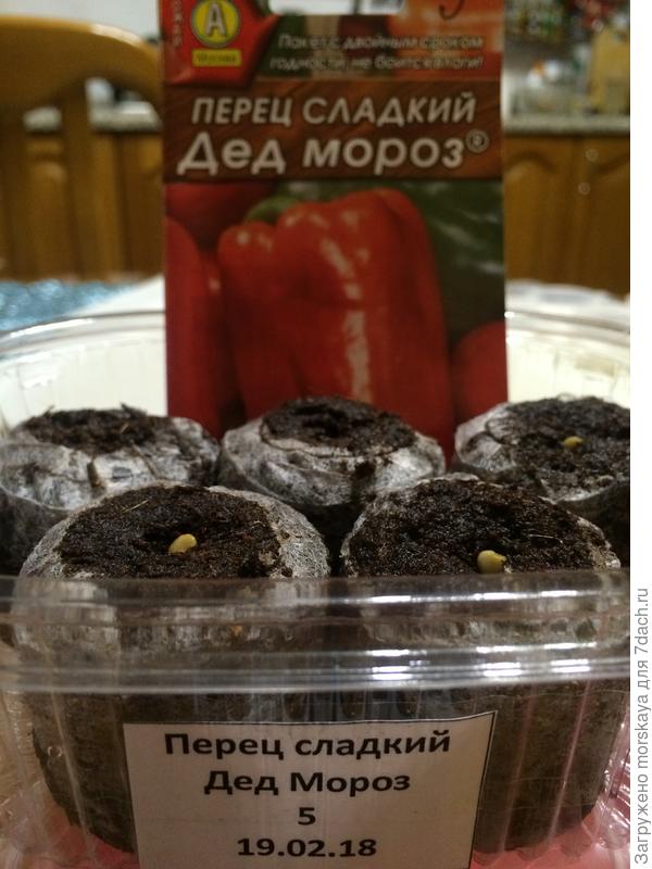 посев