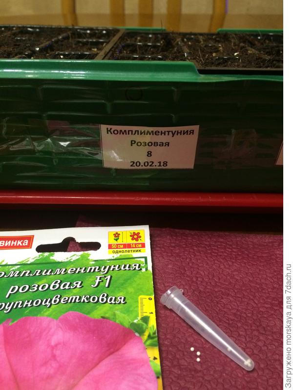 Комплиментуния розовая