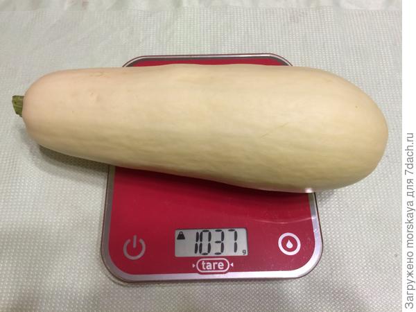 1037 г
