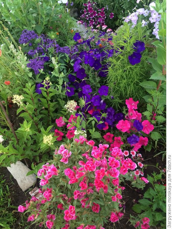 "звездная ночь" и годеция