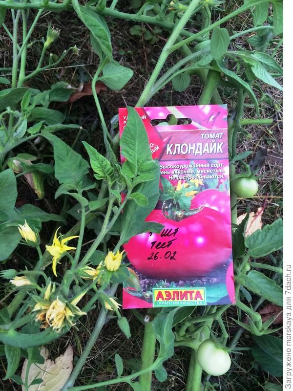 верхняя часть