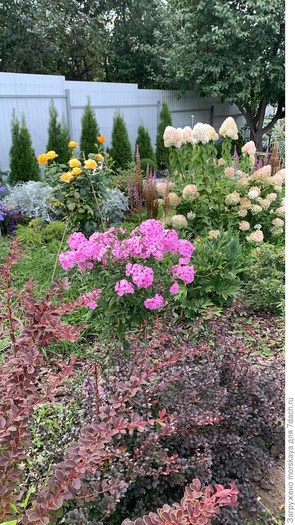 Август этого года, уже без винограда