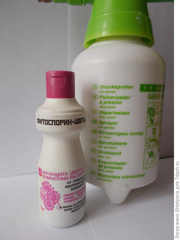 фитоспорин