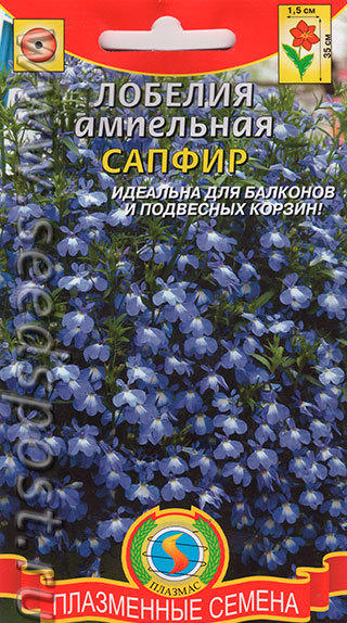 Сорт "Сапфир"
