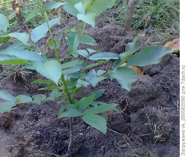 приятно вспомнить