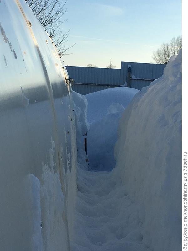 Снег с теплицы