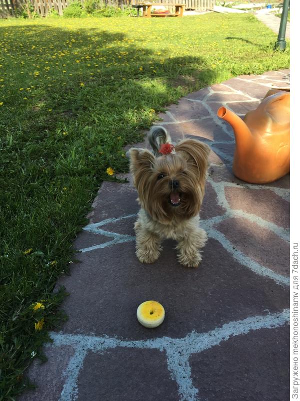 Помощь рядом