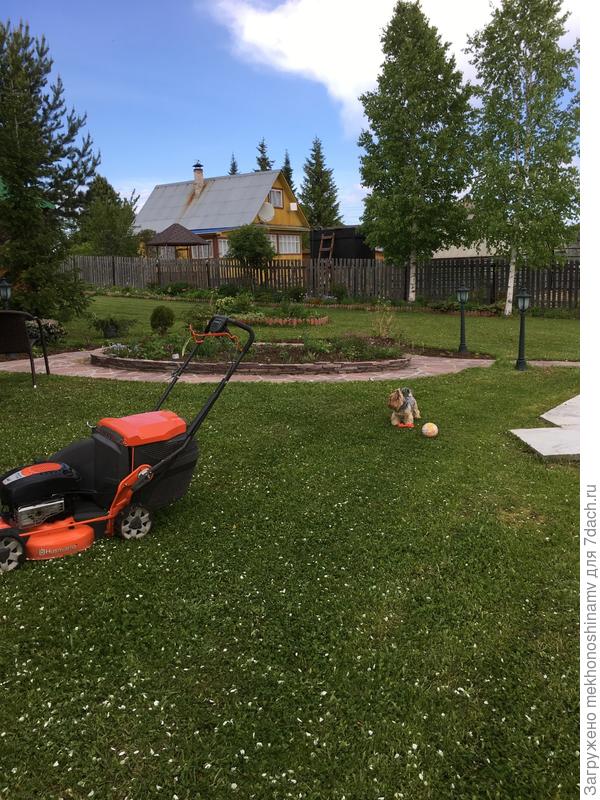 Кто- то траву косит,а кому-то футбол