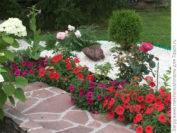 Джаконда -любимица.