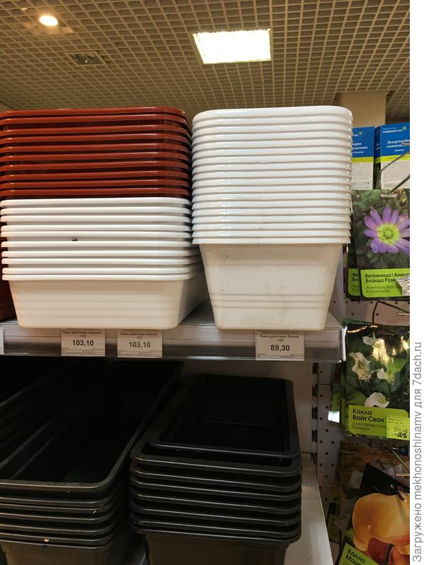 В садовом магазине.У меня в нем золотая карта.