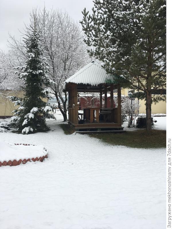 Снежка под сосны не хватило