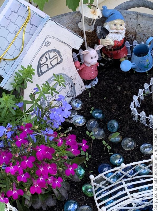 Какие лобельки разные