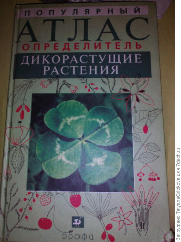 У меня вот такой, покупала ещё в 2004 году