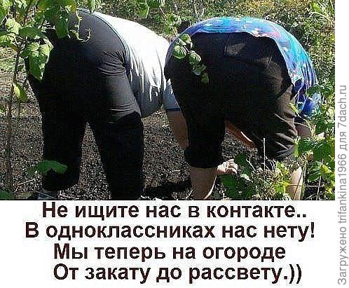 Фотоподтверждение предыдущему комменту