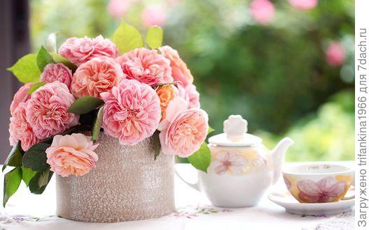 Любви, удачи и здоровья!