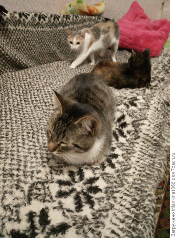 "Отпраздновали, теперь можно и поспать"